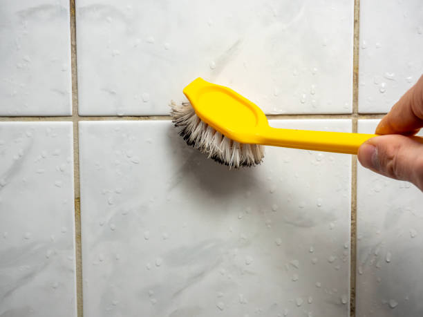 Best Mold Inspection  in Anchorage, AK