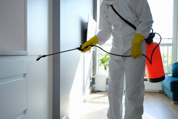 Best Same-Day Mold Removal  in Anchorage, AK