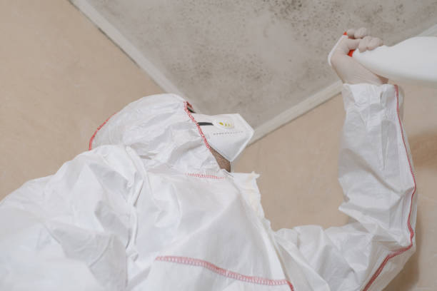 Best Home Mold Removal  in Anchorage, AK